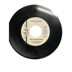 Vintage 7” 45 RPM vinyl record Balcones Fault take me home